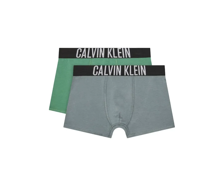 obrazek 1 Calvin Klein Underwear Komplet 2 par bokserek B70B700509 Kolorowy