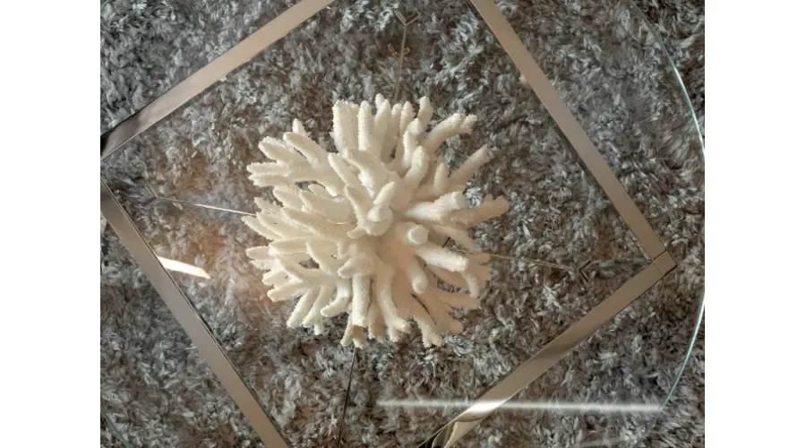 obrazek 3 Ekskluzywny stolik kawowy z koralemi niklowanym mosiądzem