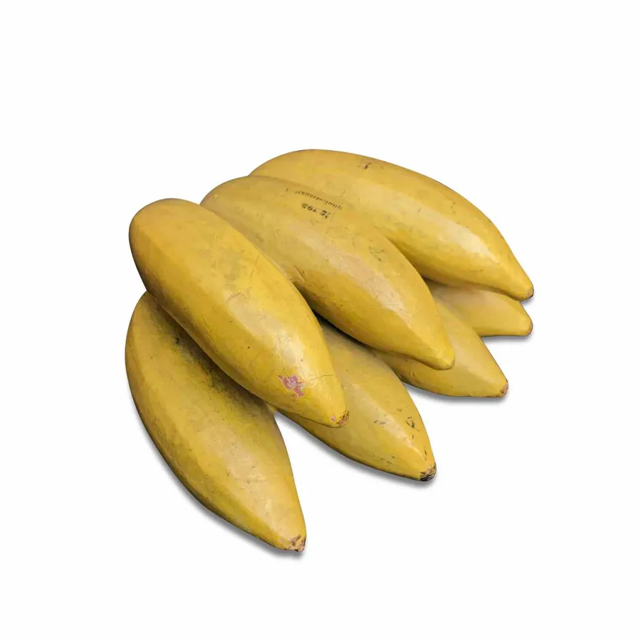 obrazek 1 Model dydaktyczny bananów w zdobionej sztukaterii z początku XX w