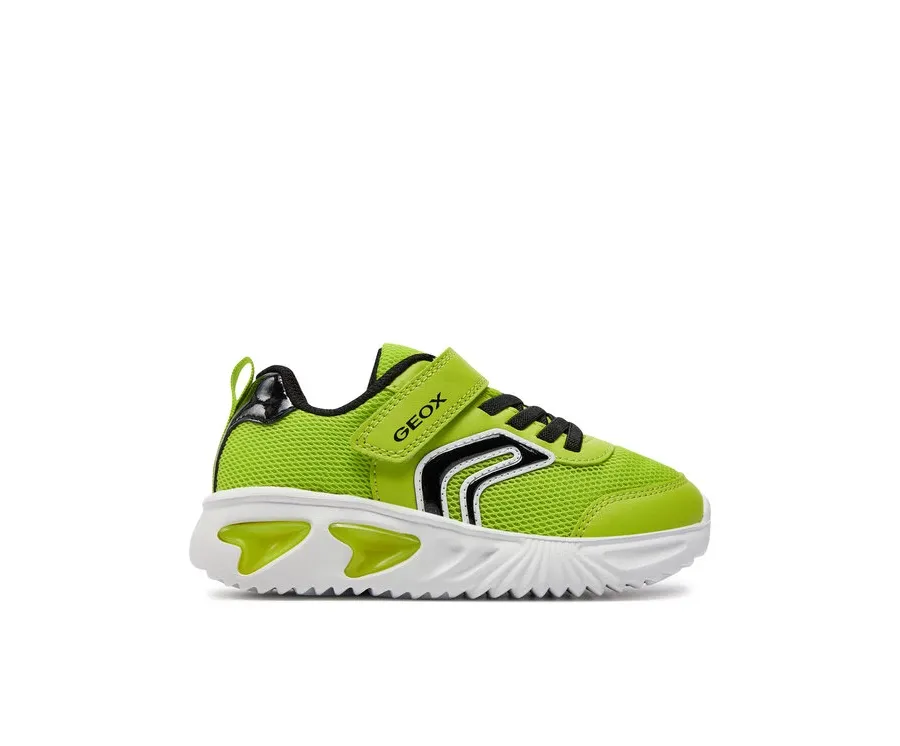 obrazek 1 Geox Sneakersy J Assister Boy J45DZC 014CE C3707 S Zielony
