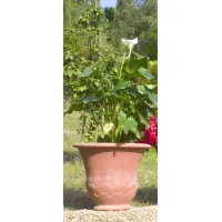 Zdjęcie Prestiżowa ogrodowa donica wykonana z włoskiej gliny - Fornace Masini