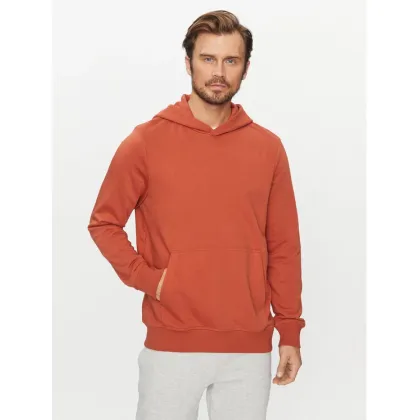 Zdjęcie 4F Bluza 4FAW23TSWSM688 Brązowy Regular Fit