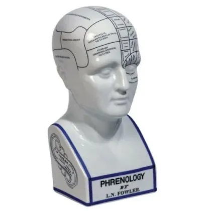 Zdjęcie Ceramiczna głowa frenologii - Authentic Models