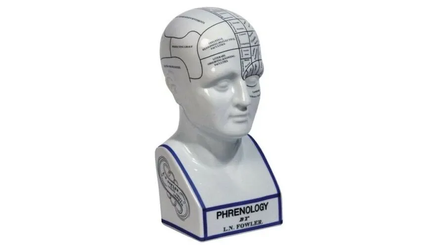 obrazek 1 Ceramiczna głowa frenologii - Authentic Models