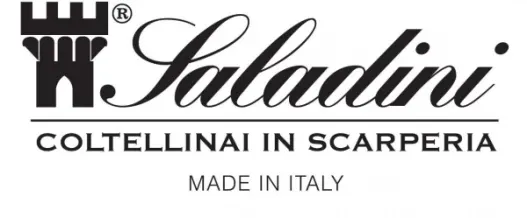 Saladini s.r.l.