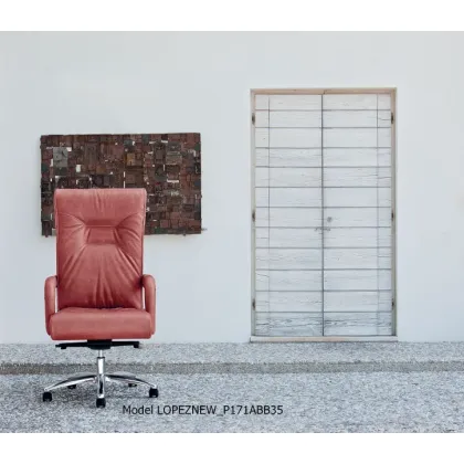 Zdjęcie Modernistyczny fotel Lopez New ze skóry
