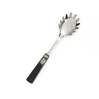 Picture Italian spoon for spooning and serving Zanthus spaghetti