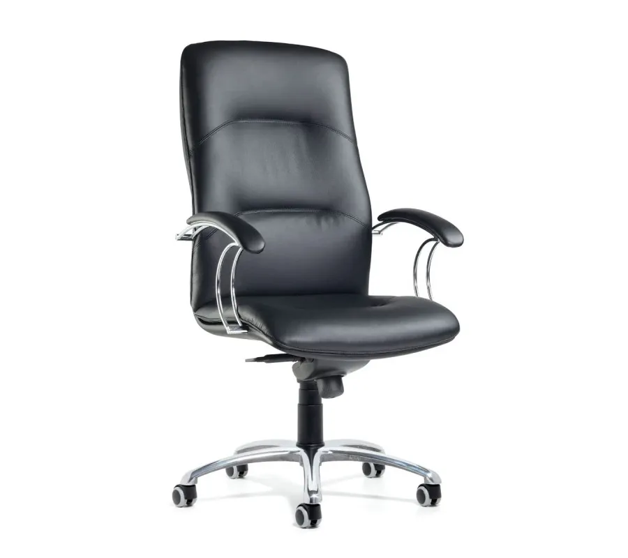 picture 1 Italian leather armchair Brussels