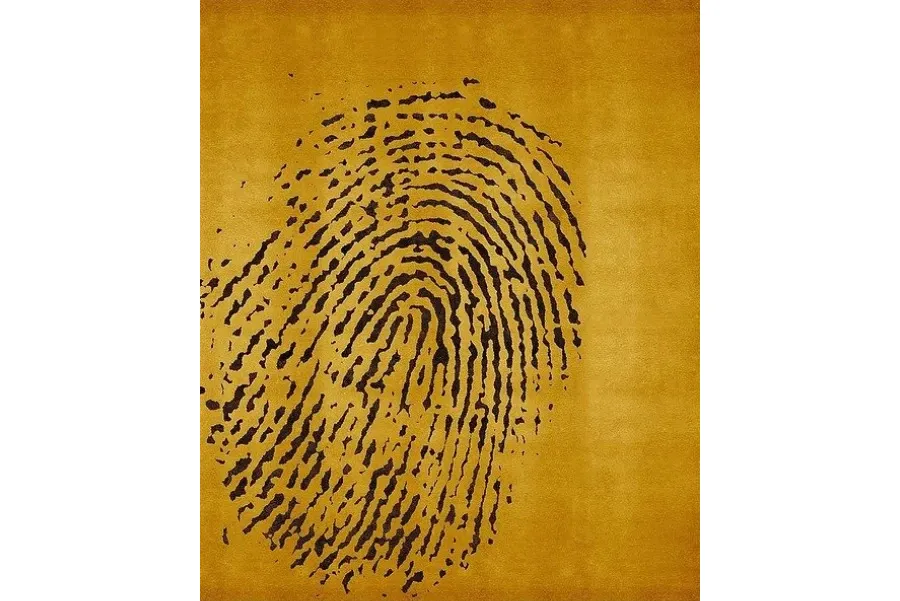 obrazek 6 Stylowy dywan Fingerprint w 6 wariantach kolorystycznych