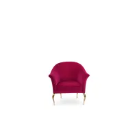 Picture Prestigious armchair for the living room