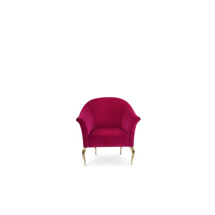 Picture A prestigious armchair for the living room
