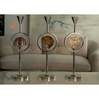 Picture A stylish nickel brass candle holder with a sea urchin