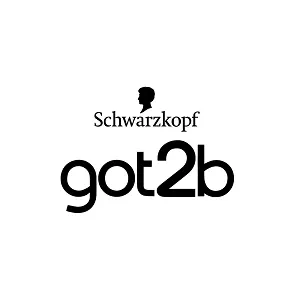 got2b logo