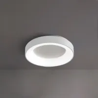Picture White ceiling lamp Inner 40W, 2400/2600LM, 3000K-4000K CCT DIM