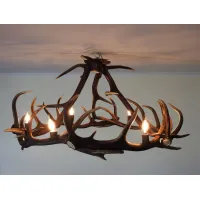 Picture A circular chandelier handmade from natural deer antler