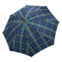 Picture Perfect as a gift for a man - a solid umbrella