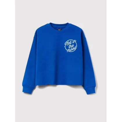 Zdjęcie OVS Bluza 1433566 Niebieski Regular Fit