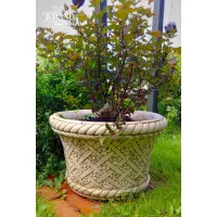 Picture The perfect flower basket flower pot