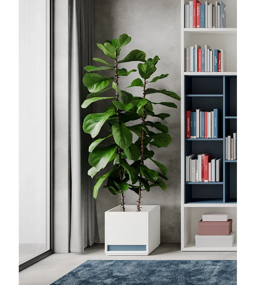 obrazek 2 Gustowna donica do gabinetu - Prof