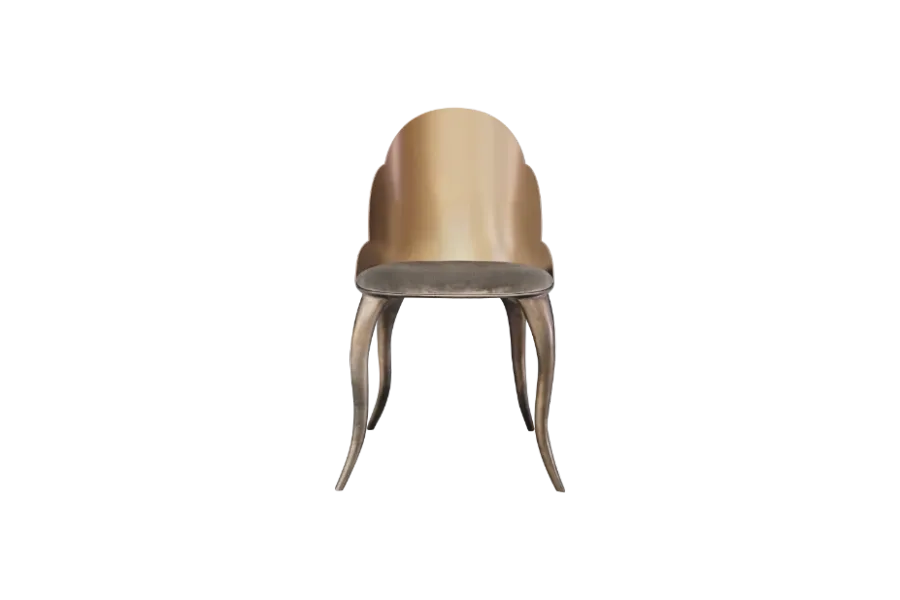 exclusive chair for the living room