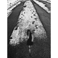 Picture Collectible photography - Szczepan Kurzeja -