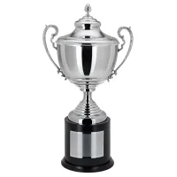 Zdjęcie Piękne trofeum sportowe - srebrny puchar