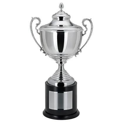 Zdjęcie Piękne trofeum sportowe - srebrny puchar