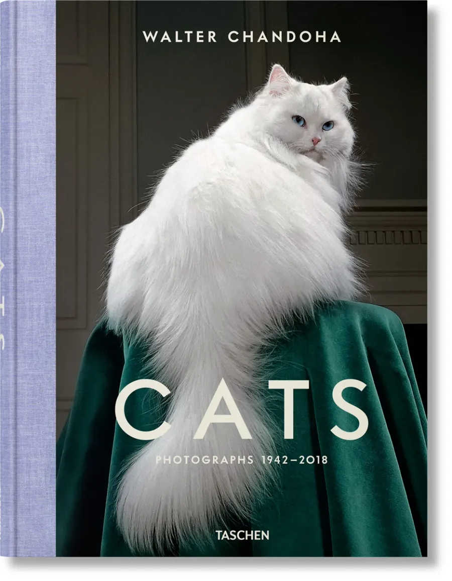 obrazek 1 Książka Walter Chandoha. Cats. Photographs 1942–2018 - Taschen