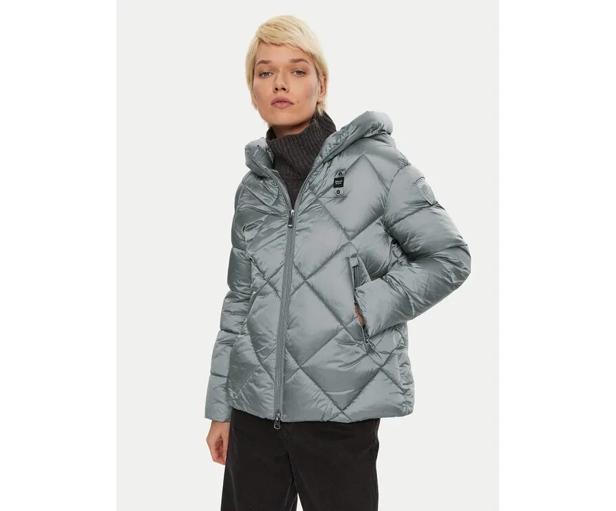 obrazek 1 Blauer Kurtka zimowa 24WBLDC02273 Szary Regular Fit
