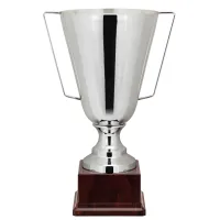 Picture A phenomenal Italian product - a silver cup