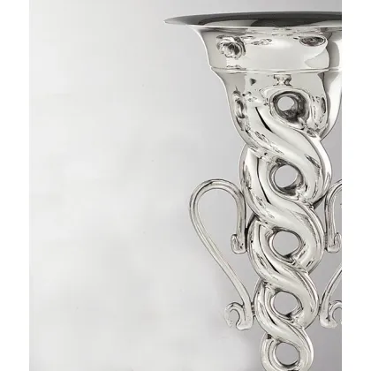Picture Exclusive silver vase with an original twisted shape - Pampaloni