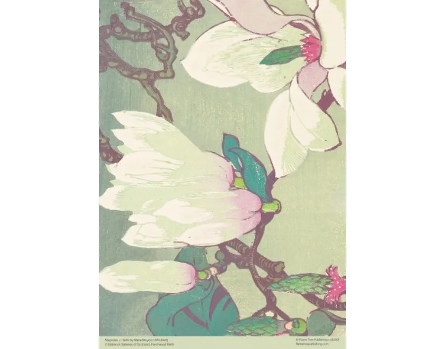 obrazek 3 Puzzle dla dorosłych NGS: Mabel Royds: Magnolia- Flame Tree Publishing