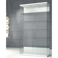 Picture Luxurious tempered glass shop window with LED lighting