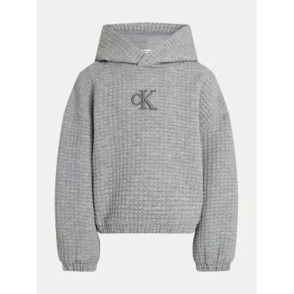 Zdjęcie Calvin Klein Jeans Bluza IG0IG02544 Szary Regular Fit