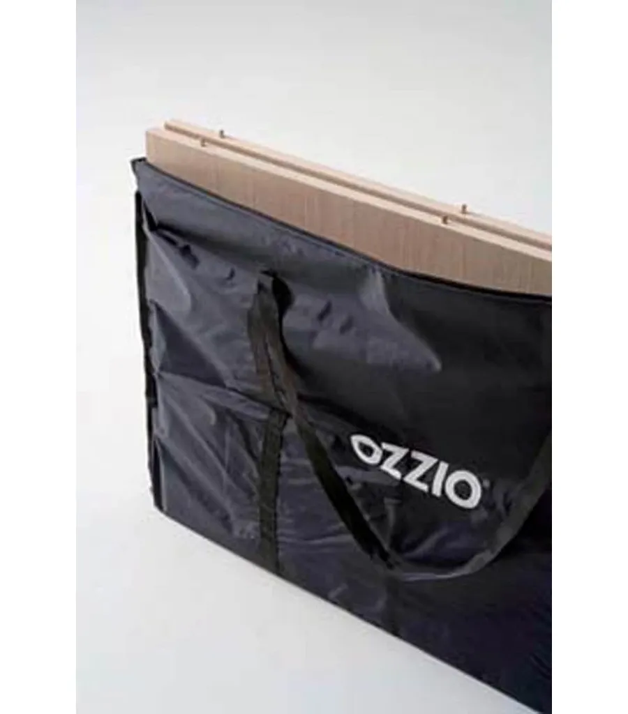 picture 2 A practical bag for console components