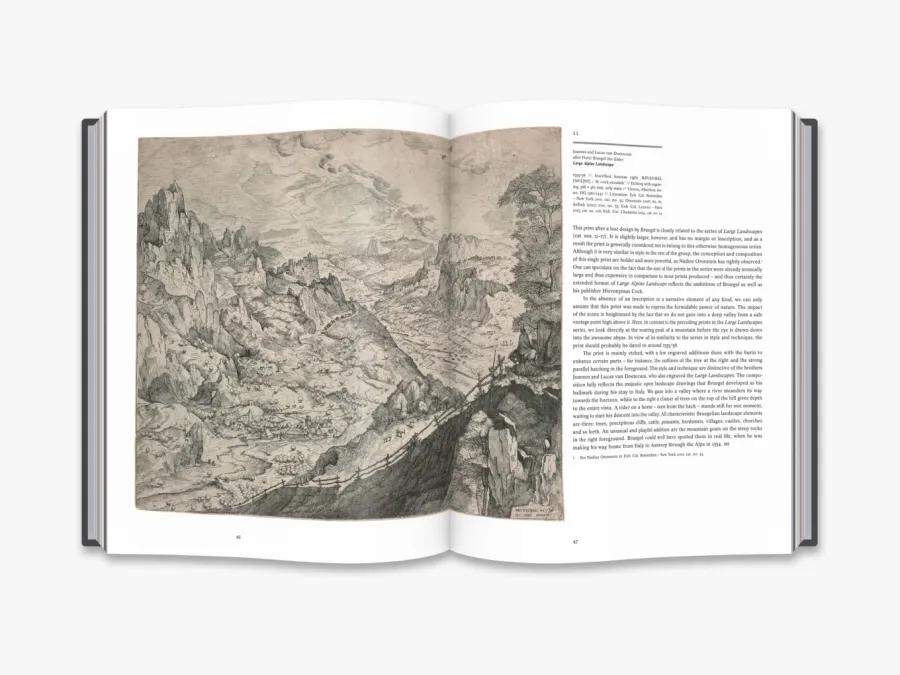 obrazek 3 Książka Bruegel Mistrz - Thames & Hudson