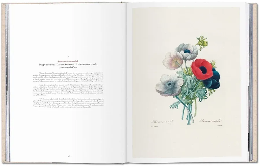 obrazek 4 Książka Redouté. Selection of the Most Beautiful Flowers - Taschen