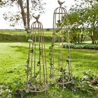 Zdjęcie Podpórka do kwiatów, zestaw 2 szt. Orianne