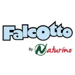 logo Falcotto