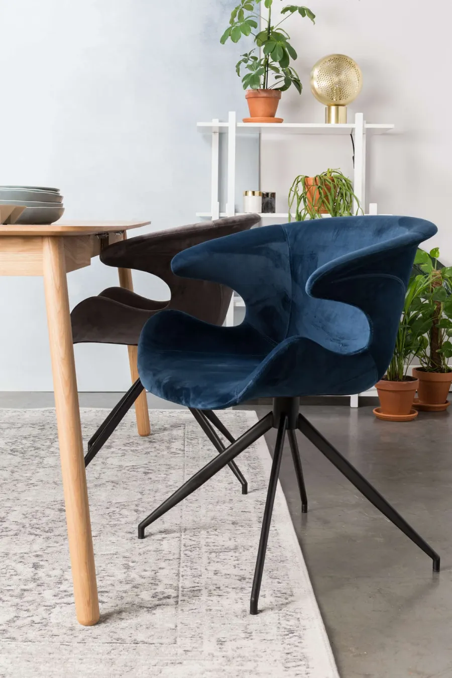 obrazek 7 Holenderski dywan w stylu minimalistycznym - Zuiver