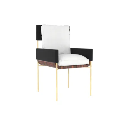 Zdjęcie Wykwintne krzesło do salonu w stylu minimalistycznym - Bitangra