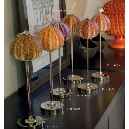 Picture Prestigious LED lamp with a sea urchin and nickel-plated brass