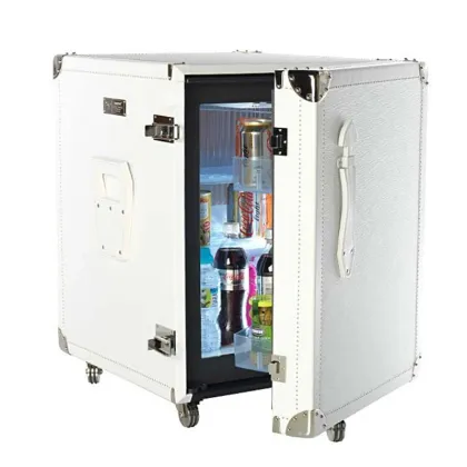 Zdjęcie Ekskluzywna mini lodówka - doskonała na podróże!