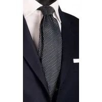 Picture Elegant silk tie with silver-gray dots