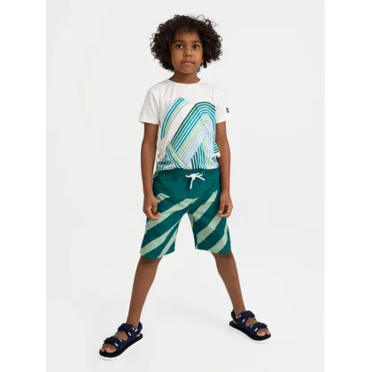 Zdjęcie Reima Szorty kąpielowe Papaija 5200155B Zielony Regular Fit