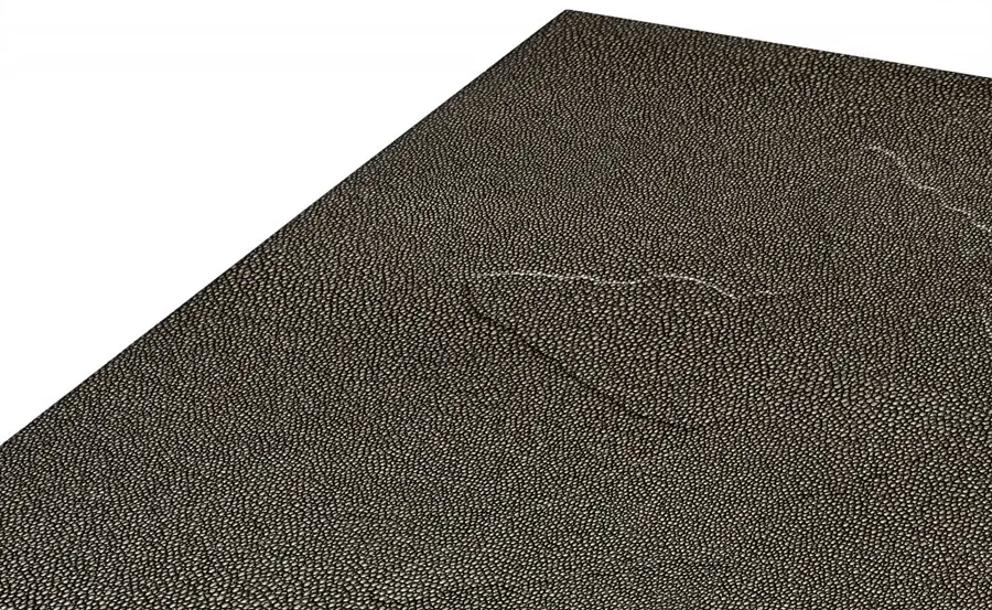 obrazek 9 Książka Paleoart. Wizje prehistorycznej przeszłości - Taschen