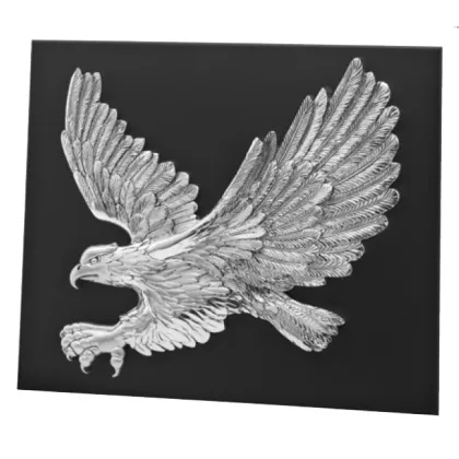 Zdjęcie Orzeł w ramce