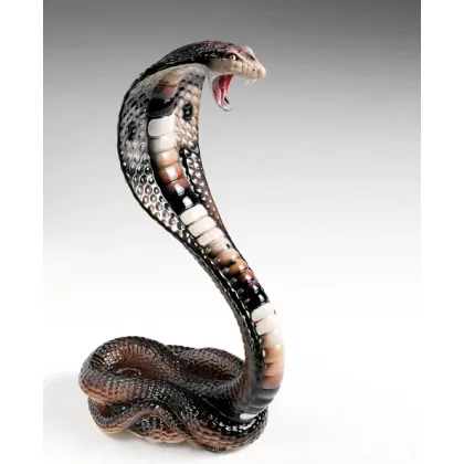 Picture A unique ceramic cobra - Il Gattopardo