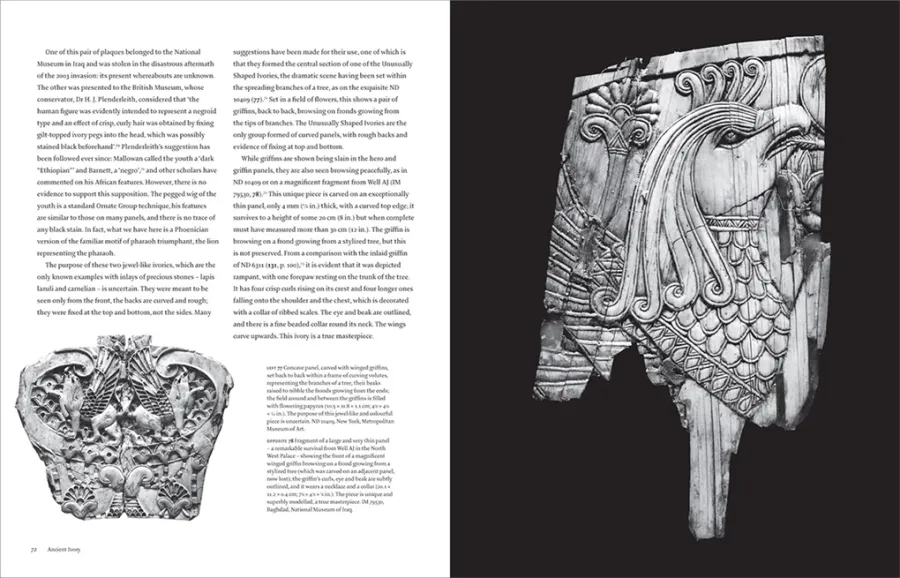 obrazek 8 Książka Ancient Ivory Arcydzieła Imperium Asyryjskiego - Thames & Hudson