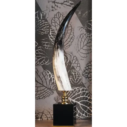 Picture Decorative horn on a black wooden base